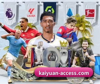 kaiyuan-access.com APP